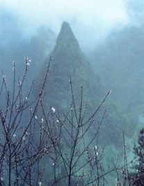 仙桃婚姻律师照片